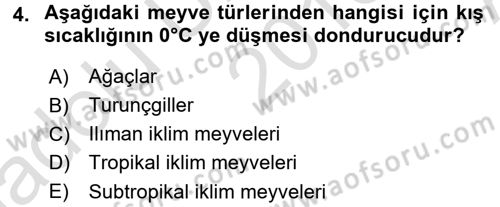 Tarım Ekonomisi ve Tarımsal Politikalar Dersi Ara Sınavı Deneme Sınav Soruları 4. Soru