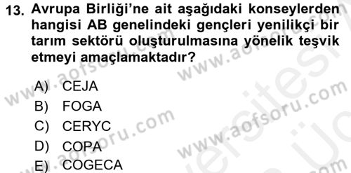 Tarım Ekonomisi ve Tarımsal Politikalar Dersi 2017 - 2018 Yılı 3 Ders Sınav Soruları 13. Soru