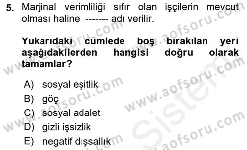 Tarım Ekonomisi ve Tarımsal Politikalar Dersi Ara Sınavı Deneme Sınav Soruları 5. Soru