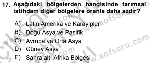 Tarım Ekonomisi ve Tarımsal Politikalar Dersi 2018 - 2019 Yılı Yaz Okulu Sınav Soruları 17. Soru