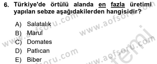 Tarım Ekonomisi ve Tarımsal Politikalar Dersi Ara Sınavı Deneme Sınav Soruları 6. Soru