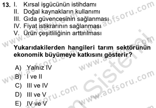 Tarım Ekonomisi ve Tarımsal Politikalar Dersi 2020 - 2021 Yılı Yaz Okulu Sınav Soruları 13. Soru