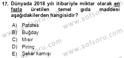 Tarım Ekonomisi ve Tarımsal Politikalar Dersi 2021 - 2022 Yılı Yaz Okulu Sınav Soruları 17. Soru