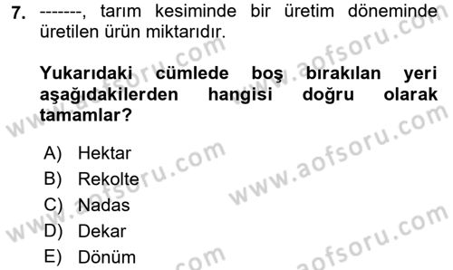 Tarım Ekonomisi ve Tarımsal Politikalar Dersi 2022 - 2023 Yılı (Vize) Ara Sınav Soruları 7. Soru