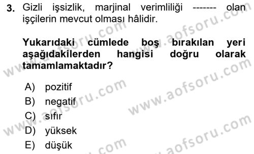 Tarım Ekonomisi ve Tarımsal Politikalar Dersi 2022 - 2023 Yılı Yaz Okulu Sınav Soruları 3. Soru