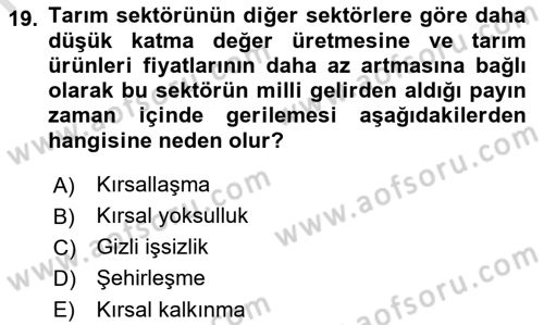Tarım Ekonomisi ve Tarımsal Politikalar Dersi 2023 - 2024 Yılı (Vize) Ara Sınav Soruları 19. Soru