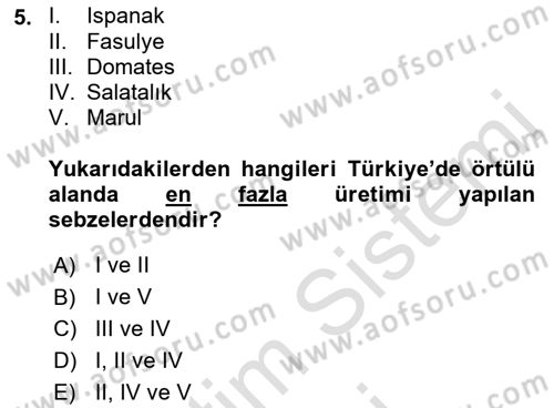 Tarım Ekonomisi ve Tarımsal Politikalar Dersi 2023 - 2024 Yılı (Vize) Ara Sınav Soruları 5. Soru