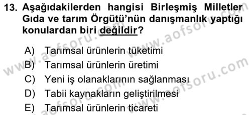 Tarım Ekonomisi ve Tarımsal Politikalar Dersi 2023 - 2024 Yılı (Final) Dönem Sonu Sınav Soruları 13. Soru