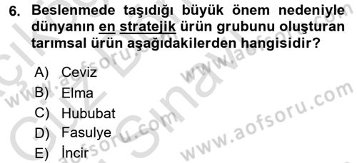 Tarım Ekonomisi ve Tarımsal Politikalar Dersi Dönem Sonu Sınavı Deneme Sınav Soruları 6. Soru