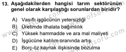 Tarım Ekonomisi ve Tarımsal Politikalar Dersi 2023 - 2024 Yılı Yaz Okulu Sınav Soruları 13. Soru