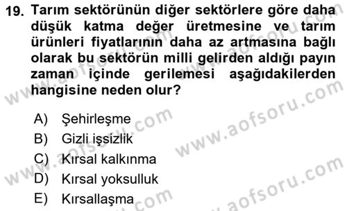 Tarım Ekonomisi ve Tarımsal Politikalar Dersi 2024 - 2025 Yılı (Vize) Ara Sınav Soruları 19. Soru