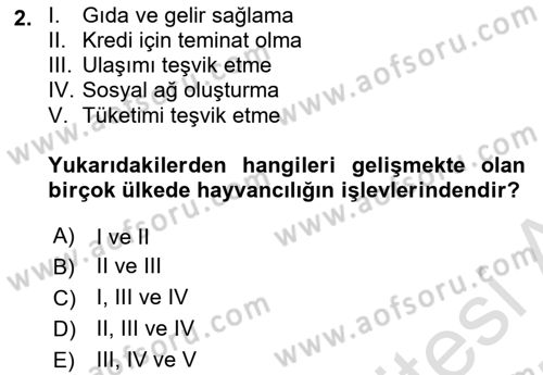 Tarım Ekonomisi ve Tarımsal Politikalar Dersi 2024 - 2025 Yılı (Vize) Ara Sınav Soruları 2. Soru