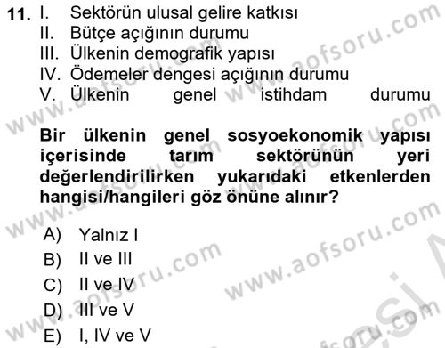 Tarım Ekonomisi ve Tarımsal Politikalar Dersi 2024 - 2025 Yılı Yaz Okulu Sınav Soruları 11. Soru