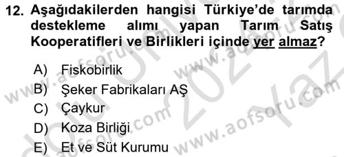 Tarım Ekonomisi ve Tarımsal Politikalar Dersi 2024 - 2025 Yılı Yaz Okulu Sınav Soruları 12. Soru