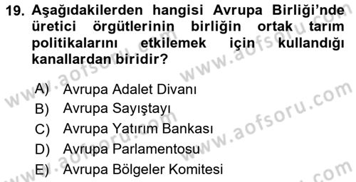 Tarım Ekonomisi ve Tarımsal Politikalar Dersi 2024 - 2025 Yılı Yaz Okulu Sınav Soruları 19. Soru