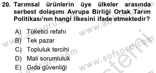 Tarım Ekonomisi ve Tarımsal Politikalar Dersi 2024 - 2025 Yılı Yaz Okulu Sınav Soruları 20. Soru