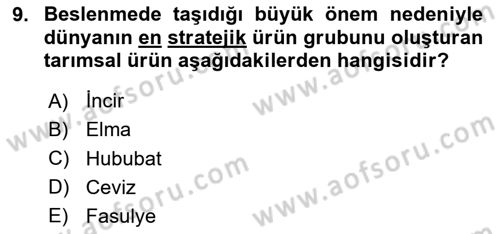 Tarım Ekonomisi ve Tarımsal Politikalar Dersi 2024 - 2025 Yılı Yaz Okulu Sınav Soruları 9. Soru