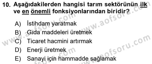 Tarım Ekonomisi ve Tarımsal Politikalar Dersi 2025 - 2026 Yılı (Vize) Ara Sınav Soruları 10. Soru