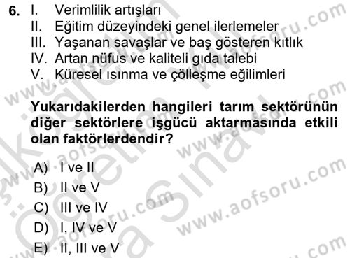 Tarım Ekonomisi ve Tarımsal Politikalar Dersi 2025 - 2026 Yılı (Vize) Ara Sınav Soruları 6. Soru