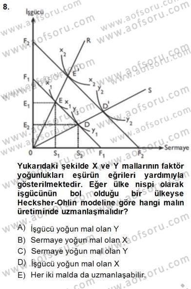 Uluslararası İktisat Teorisi Dersi 2013 - 2014 Yılı (Final) Dönem Sonu Sınav Soruları 8. Soru