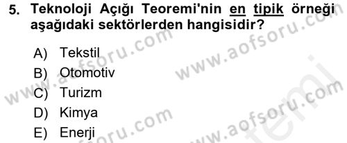 Uluslararası İktisat Teorisi Dersi 2017 - 2018 Yılı 3 Ders Sınav Soruları 5. Soru