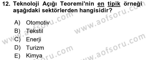 Uluslararası İktisat Teorisi Dersi 2017 - 2018 Yılı (Vize) Ara Sınav Soruları 12. Soru