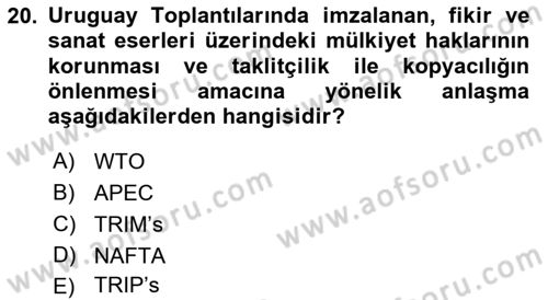 Uluslararası İktisat Teorisi Dersi 2018 - 2019 Yılı Yaz Okulu Sınav Soruları 20. Soru
