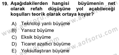 Uluslararası İktisat Teorisi Dersi Ara Sınavı Deneme Sınav Soruları 19. Soru
