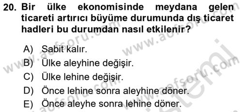 Uluslararası İktisat Teorisi Dersi Ara Sınavı Deneme Sınav Soruları 20. Soru