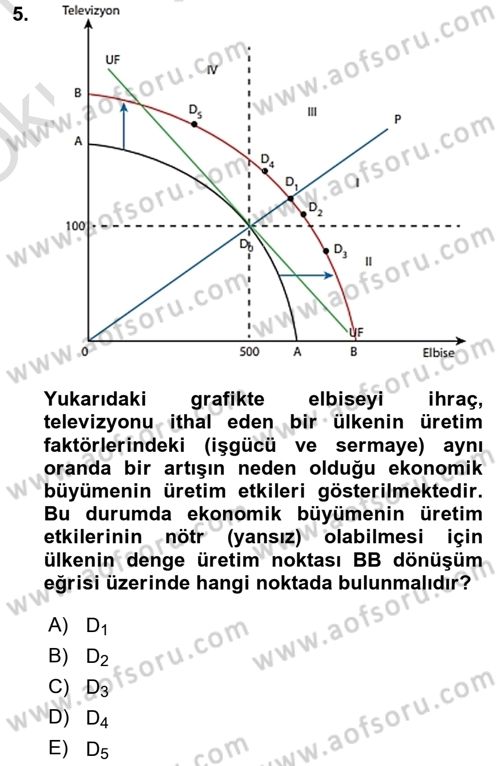 Uluslararası İktisat Teorisi Dersi 2020 - 2021 Yılı Yaz Okulu Sınav Soruları 5. Soru
