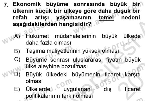 Uluslararası İktisat Teorisi Dersi 2020 - 2021 Yılı Yaz Okulu Sınav Soruları 7. Soru