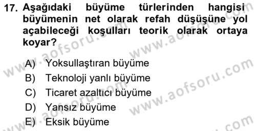 Uluslararası İktisat Teorisi Dersi Ara Sınavı Deneme Sınav Soruları 17. Soru