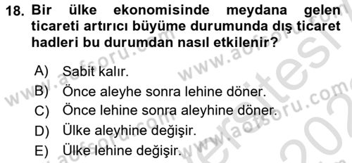 Uluslararası İktisat Teorisi Dersi Ara Sınavı Deneme Sınav Soruları 18. Soru
