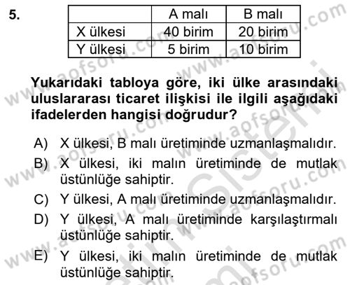 Uluslararası İktisat Teorisi Dersi Ara Sınavı Deneme Sınav Soruları 5. Soru