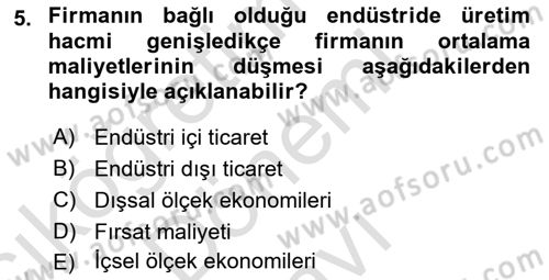 Uluslararası İktisat Teorisi Dersi 2021 - 2022 Yılı (Final) Dönem Sonu Sınav Soruları 5. Soru