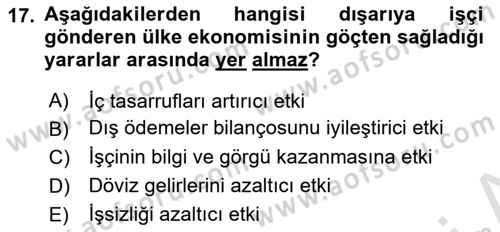 Uluslararası İktisat Teorisi Dersi 2021 - 2022 Yılı Yaz Okulu Sınav Soruları 17. Soru