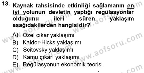 Kamu Ekonomisi 1 Dersi 2012 - 2013 Yılı (Vize) Ara Sınav Soruları 13. Soru