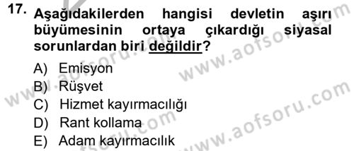 Kamu Ekonomisi 1 Dersi 2012 - 2013 Yılı (Vize) Ara Sınav Soruları 17. Soru