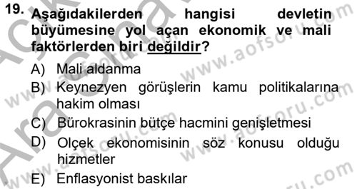 Kamu Ekonomisi 1 Dersi 2012 - 2013 Yılı (Vize) Ara Sınav Soruları 19. Soru