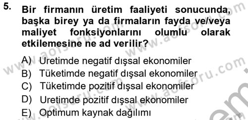 Kamu Ekonomisi 1 Dersi 2012 - 2013 Yılı (Vize) Ara Sınav Soruları 5. Soru