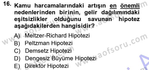 Kamu Ekonomisi 1 Dersi 2013 - 2014 Yılı (Vize) Ara Sınav Soruları 16. Soru