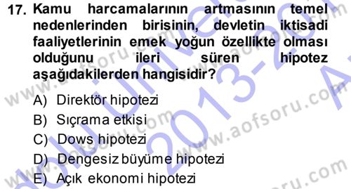 Kamu Ekonomisi 1 Dersi 2013 - 2014 Yılı (Vize) Ara Sınav Soruları 17. Soru