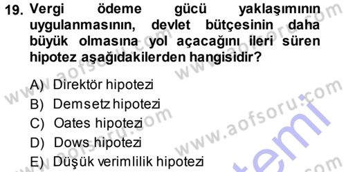 Kamu Ekonomisi 1 Dersi 2013 - 2014 Yılı (Vize) Ara Sınav Soruları 19. Soru