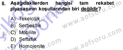Kamu Ekonomisi 1 Dersi 2013 - 2014 Yılı (Vize) Ara Sınav Soruları 5. Soru