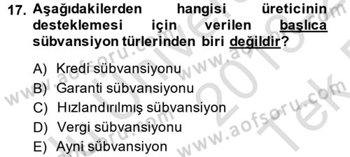 Kamu Ekonomisi 1 Dersi 2013 - 2014 Yılı Tek Ders Sınav Soruları 17. Soru