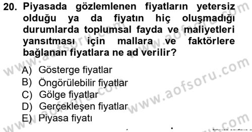 Kamu Ekonomisi 1 Dersi 2013 - 2014 Yılı Tek Ders Sınav Soruları 20. Soru