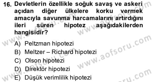 Kamu Ekonomisi 1 Dersi 2014 - 2015 Yılı (Vize) Ara Sınav Soruları 16. Soru