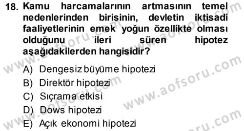 Kamu Ekonomisi 1 Dersi 2014 - 2015 Yılı (Vize) Ara Sınav Soruları 18. Soru