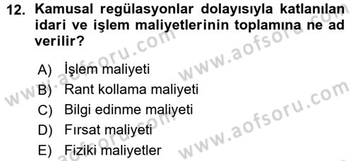 Kamu Ekonomisi 1 Dersi 2015 - 2016 Yılı (Vize) Ara Sınav Soruları 12. Soru