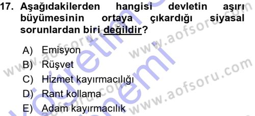 Kamu Ekonomisi 1 Dersi 2015 - 2016 Yılı (Vize) Ara Sınav Soruları 17. Soru